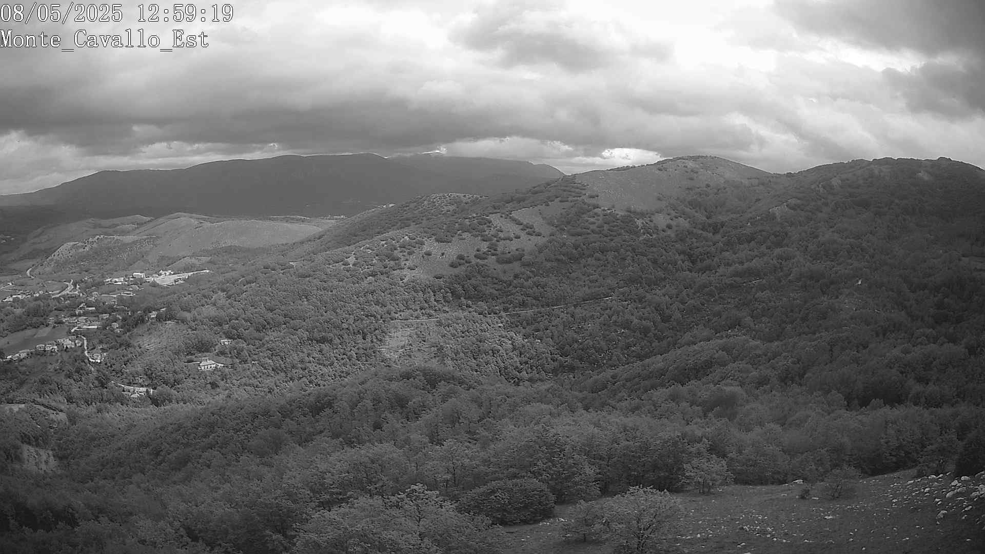 Immagine scattata il 08/05/2025 pm31 12:59