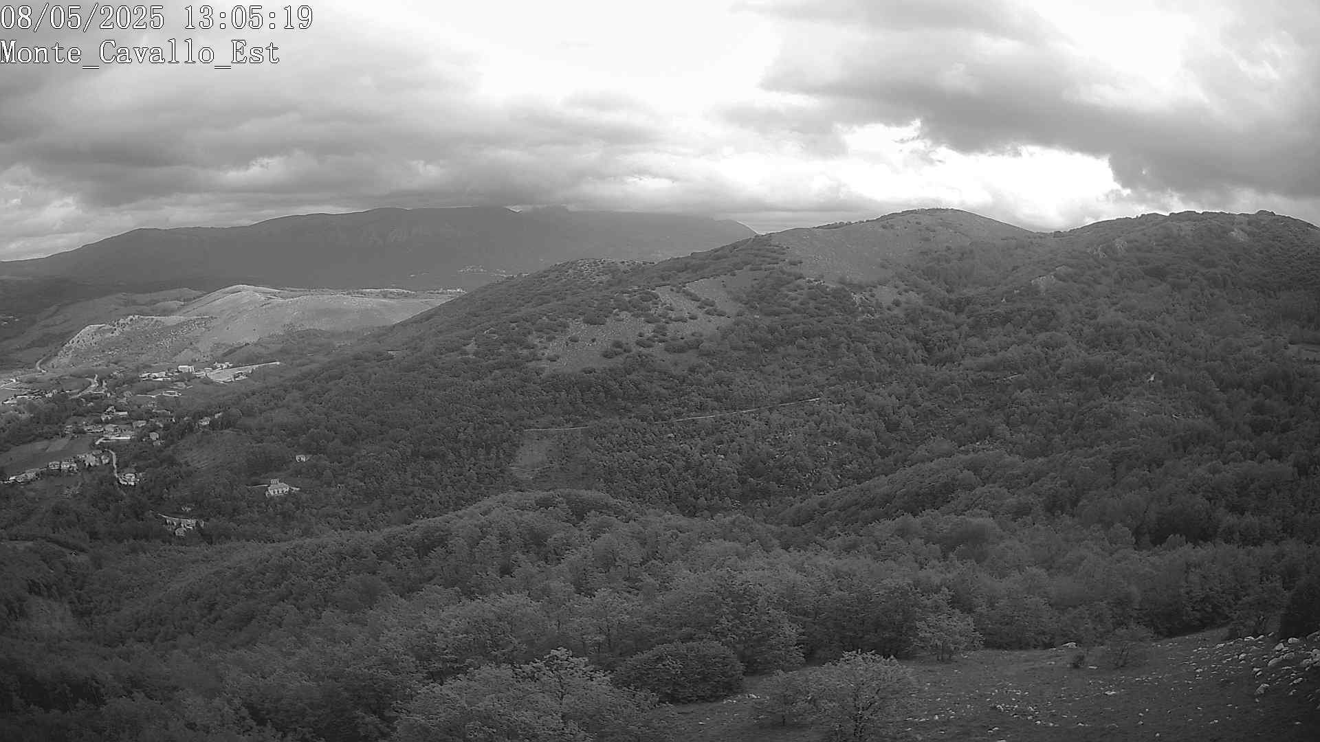 Immagine scattata il 08/05/2025 pm31 13:05