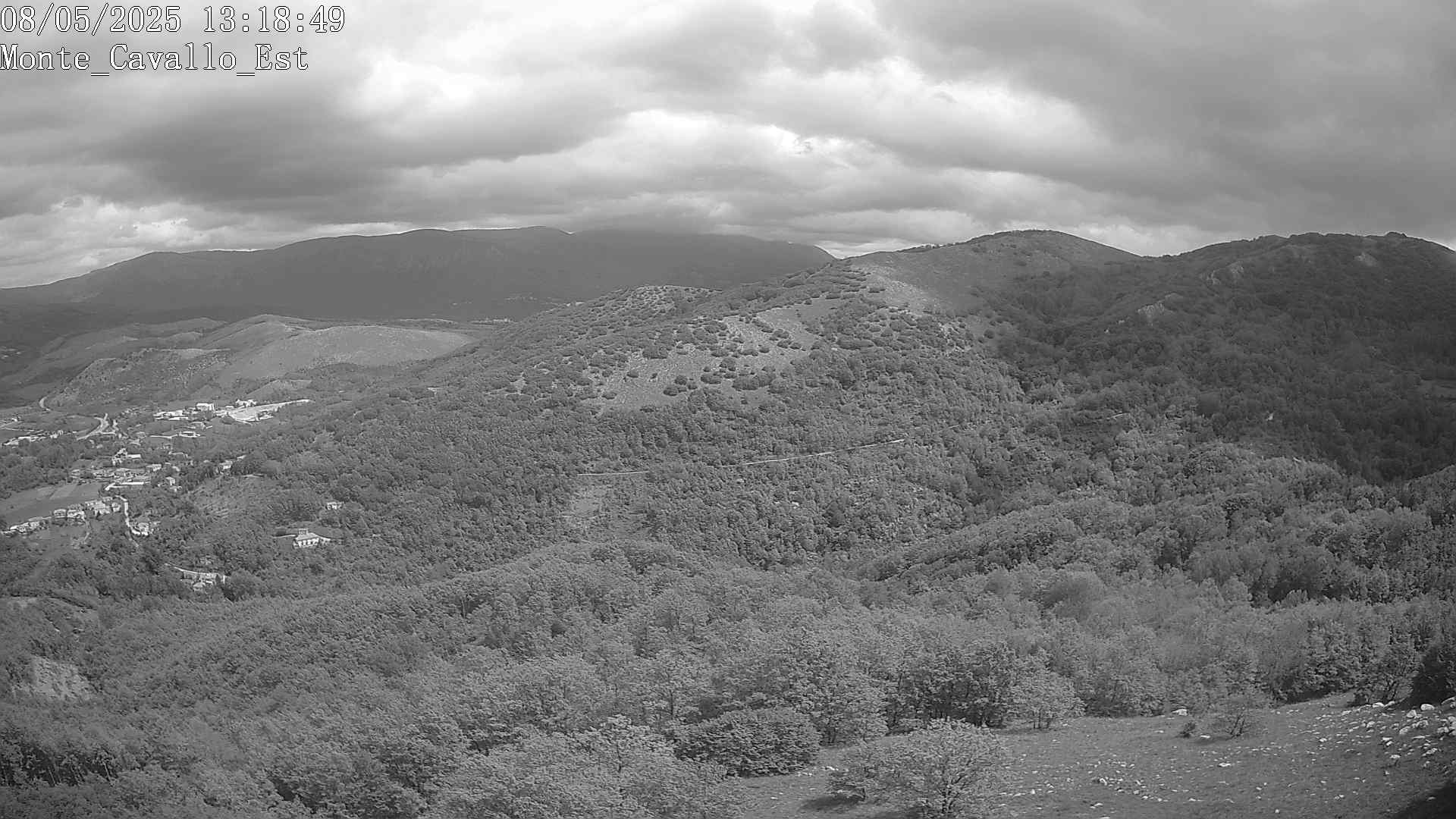 Immagine scattata il 08/05/2025 pm31 13:18