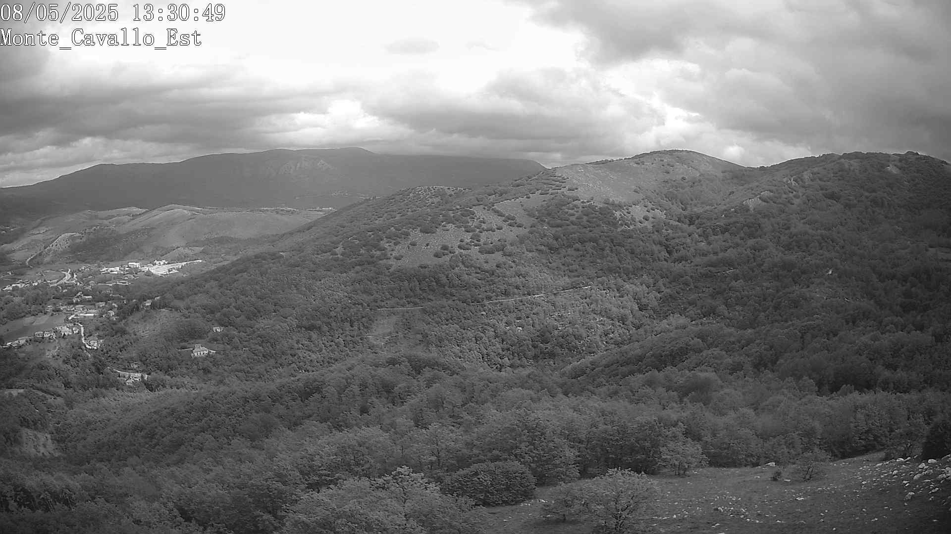 Immagine scattata il 08/05/2025 pm31 13:30