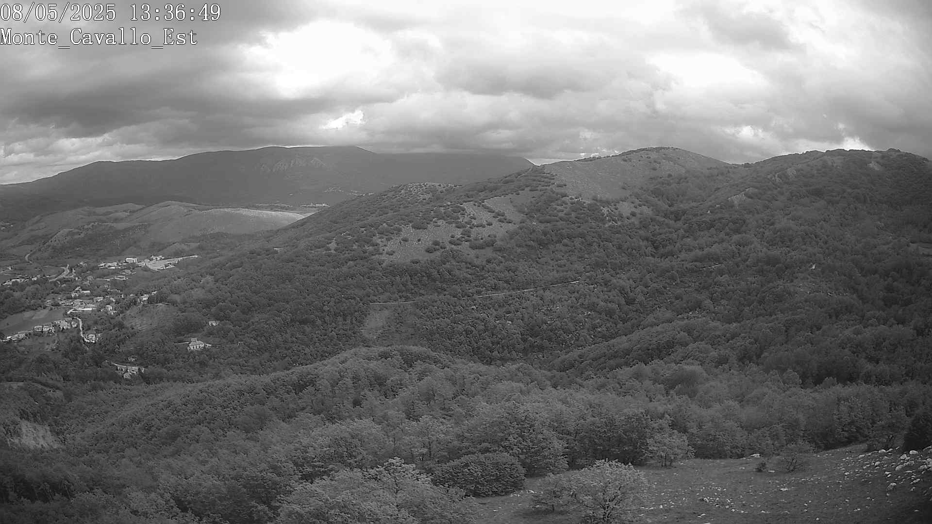 Immagine scattata il 08/05/2025 pm31 13:36
