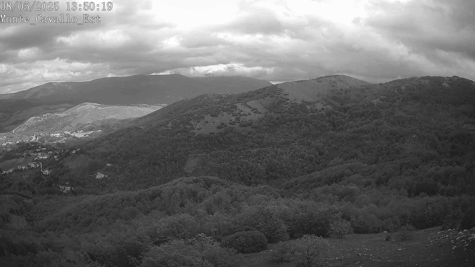 Immagine scattata il 08/05/2025 pm31 13:50