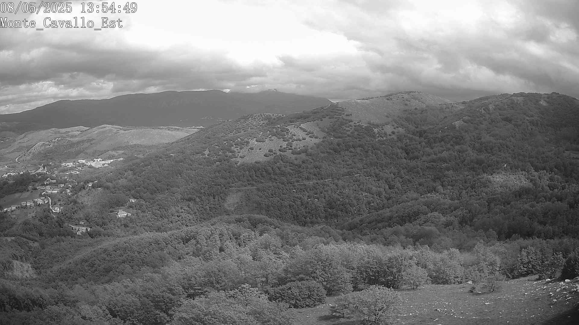 Immagine scattata il 08/05/2025 pm31 13:54