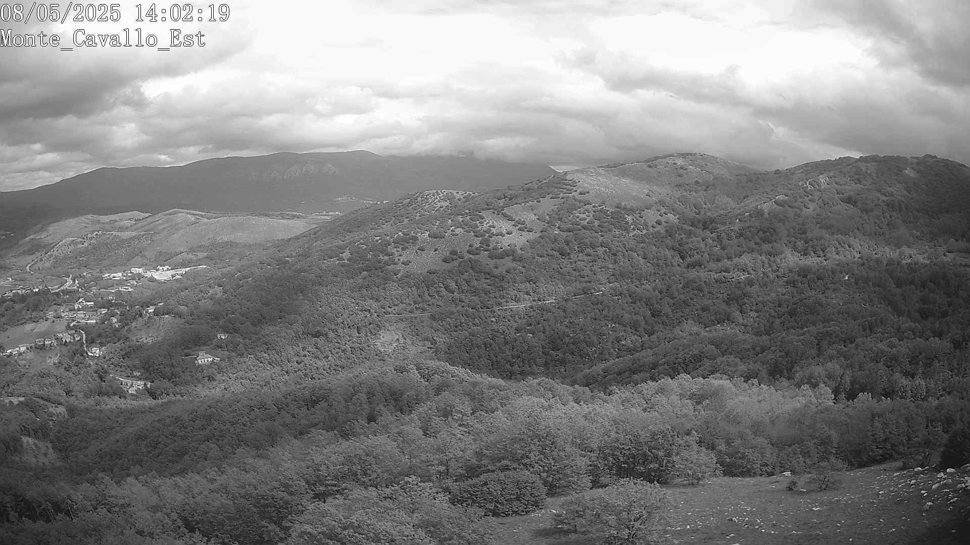 Immagine scattata il 08/05/2025 pm31 14:02