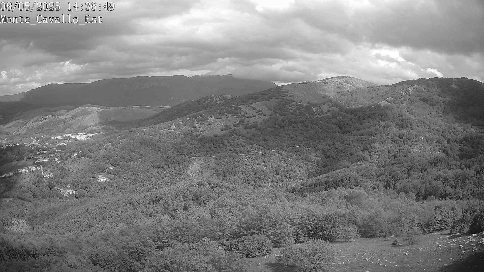 Immagine scattata il 08/05/2025 pm31 14:36