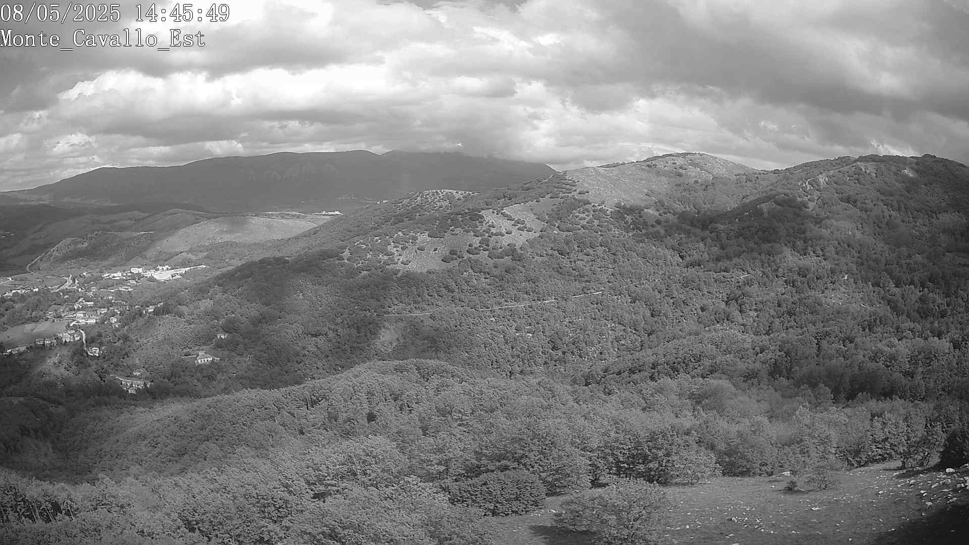 Immagine scattata il 08/05/2025 pm31 14:45