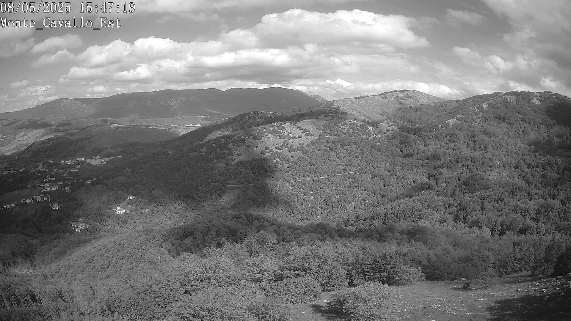 Immagine scattata il 08/05/2025 pm31 15:47