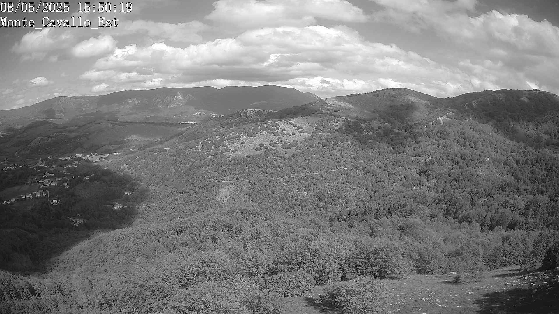 Immagine scattata il 08/05/2025 pm31 15:50