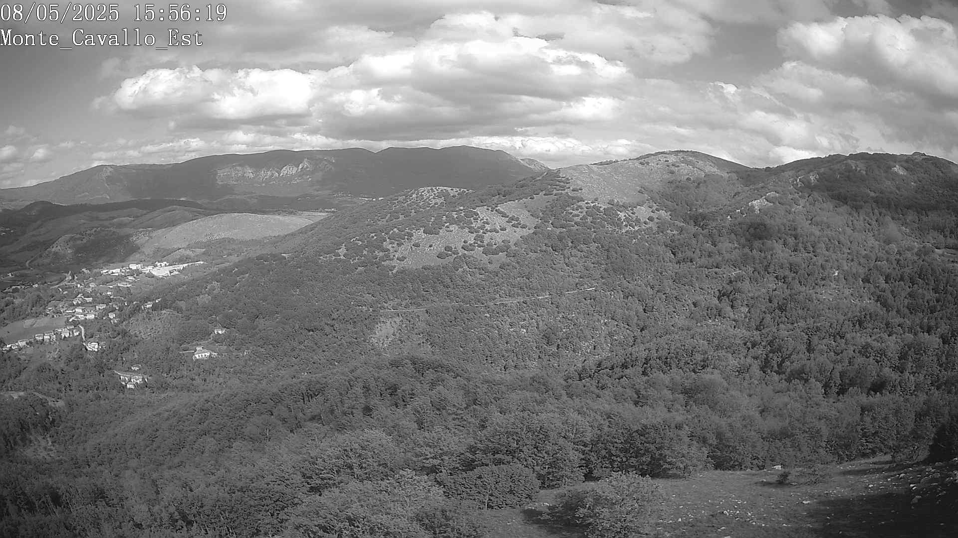 Immagine scattata il 08/05/2025 pm31 15:56
