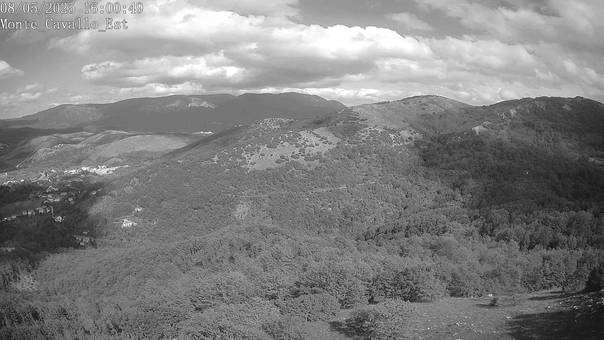 Immagine scattata il 08/05/2025 pm31 16:00