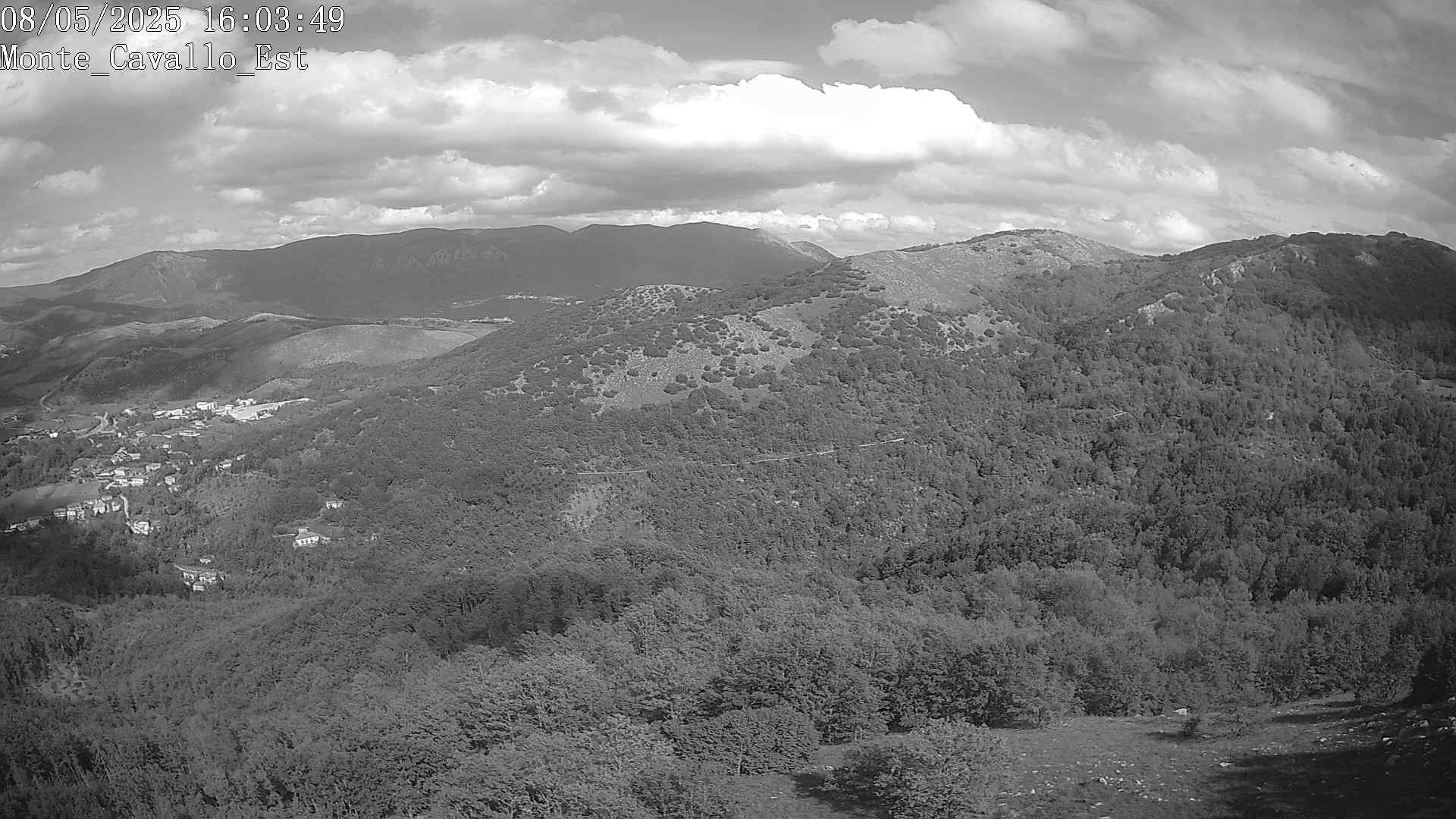 Immagine scattata il 08/05/2025 pm31 16:03