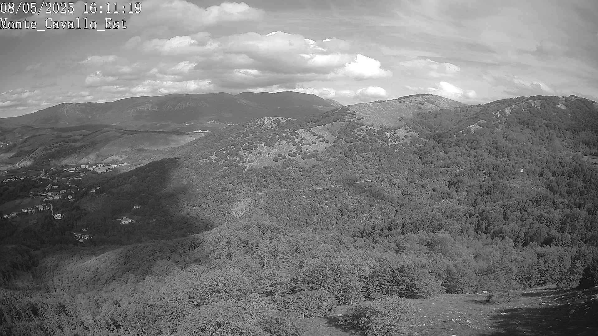 Immagine scattata il 08/05/2025 pm31 16:11
