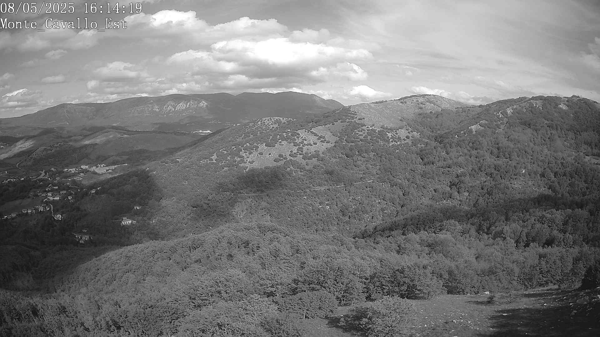 Immagine scattata il 08/05/2025 pm31 16:14