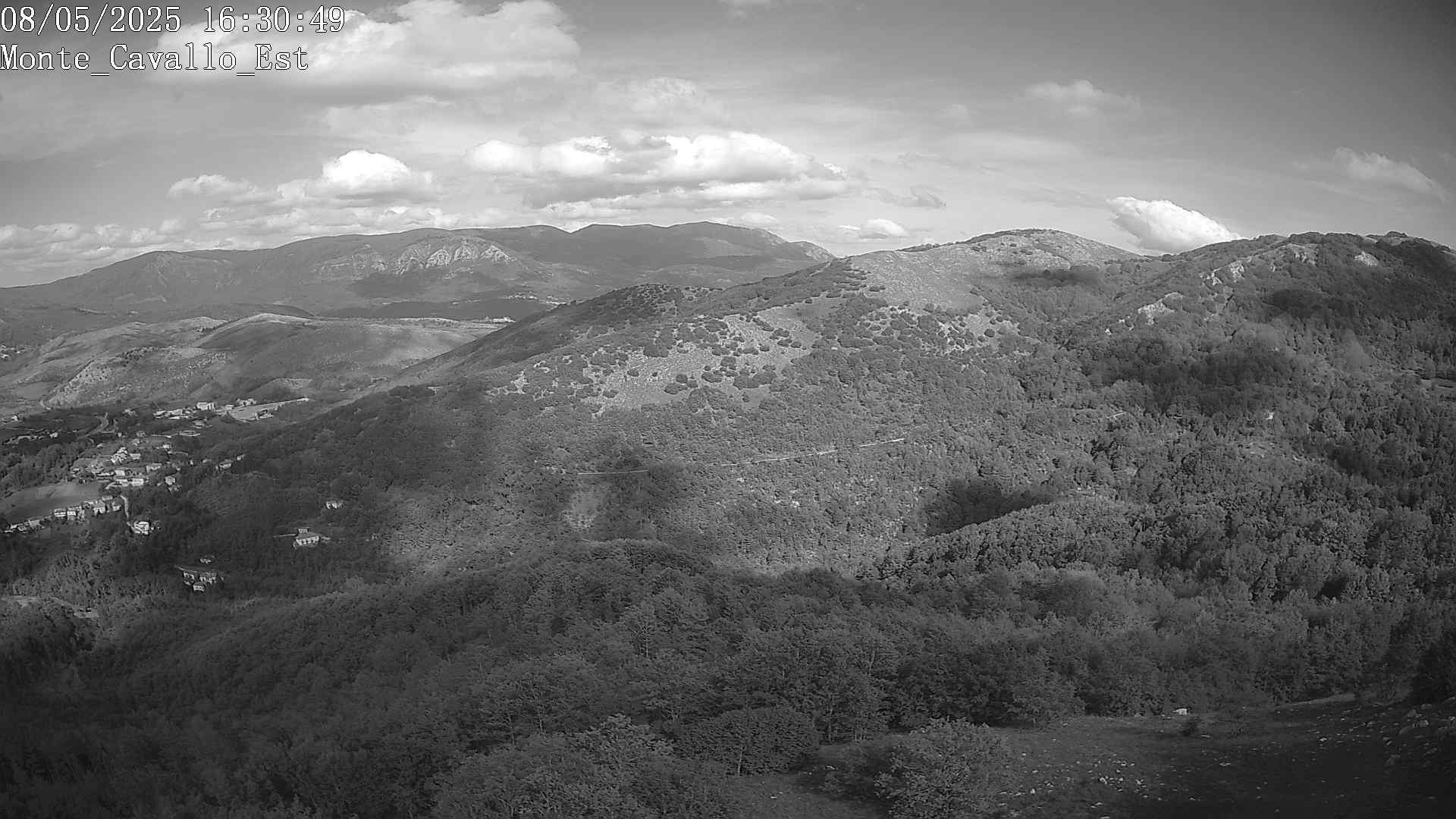Immagine scattata il 08/05/2025 pm31 16:30