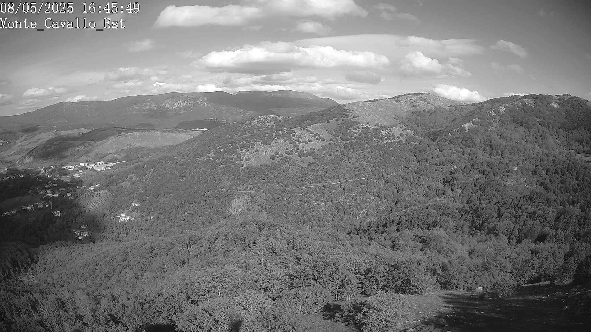 Immagine scattata il 08/05/2025 pm31 16:45