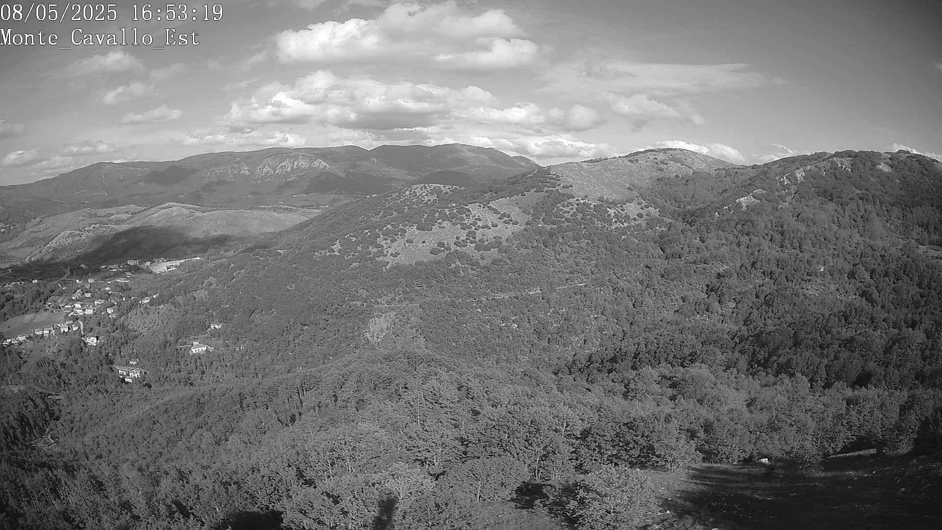 Immagine scattata il 08/05/2025 pm31 16:53