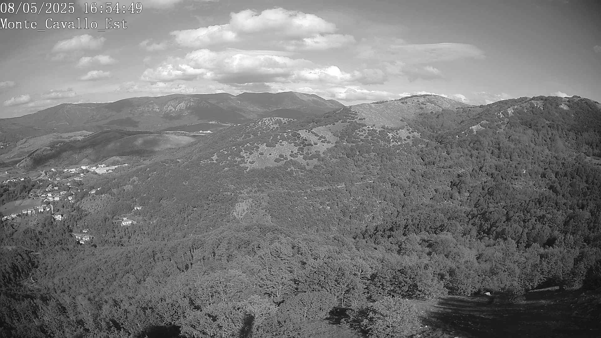 Immagine scattata il 08/05/2025 pm31 16:54