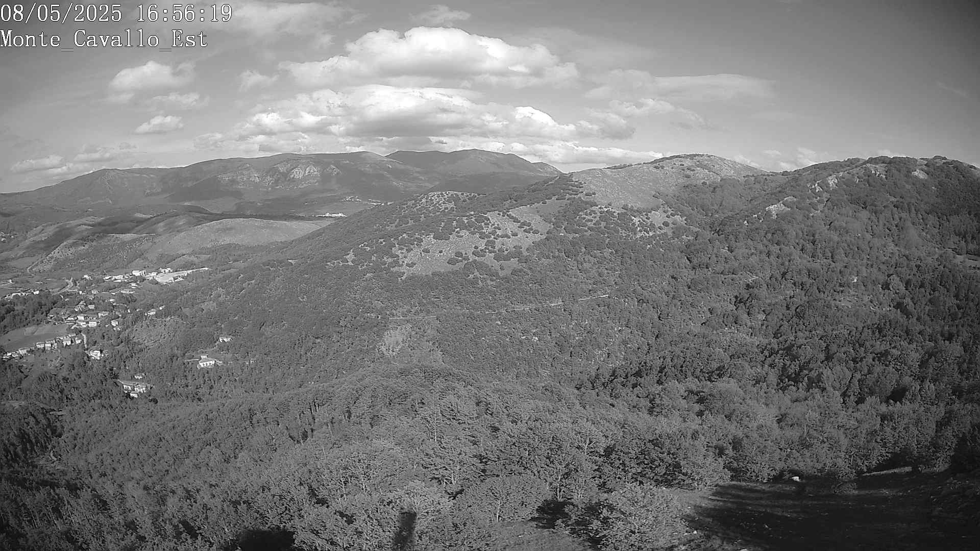 Immagine scattata il 08/05/2025 pm31 16:56