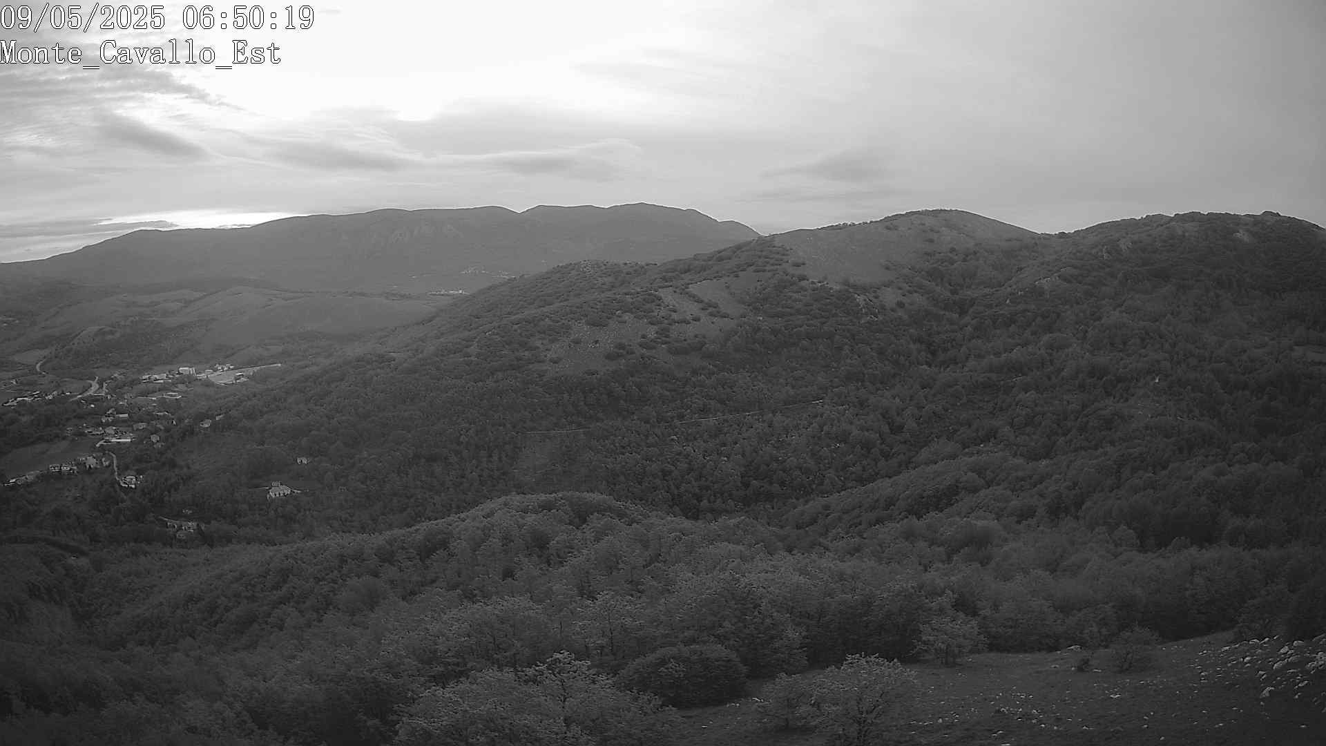Immagine scattata il 09/05/2025 am31 06:50