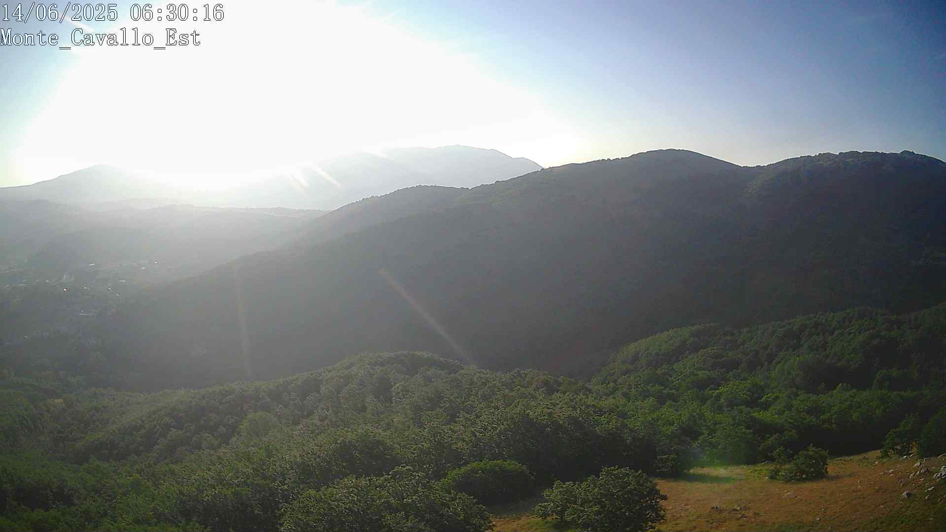 Immagine scattata il 14/06/2025 am30 06:30