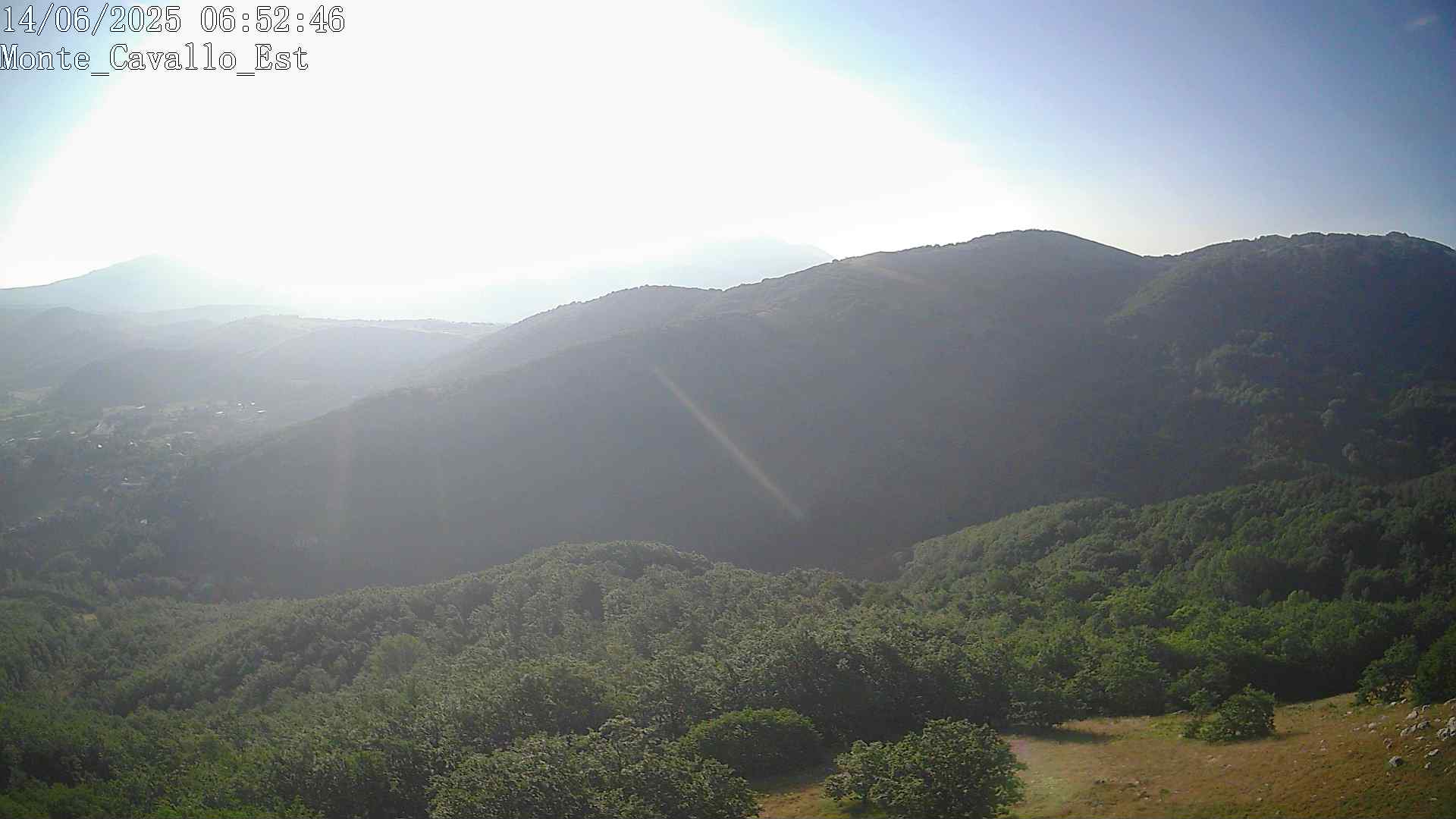 Immagine scattata il 14/06/2025 am30 06:52
