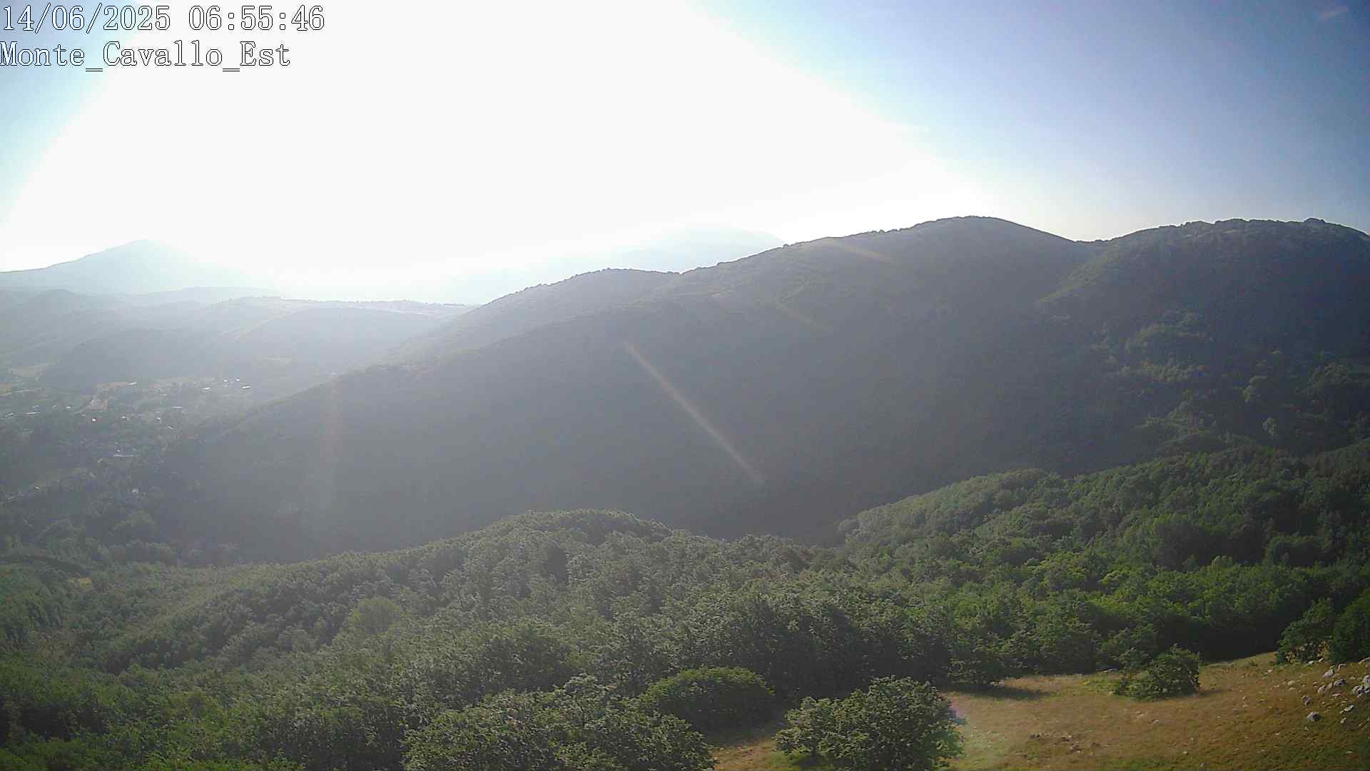 Immagine scattata il 14/06/2025 am30 06:55
