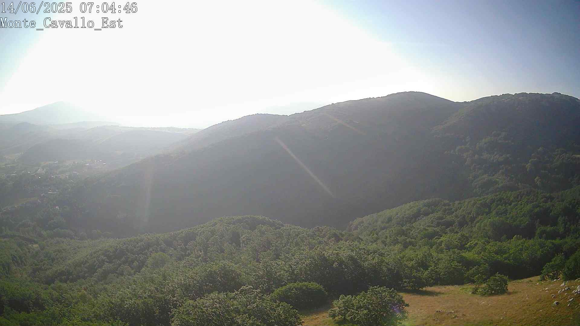 Immagine scattata il 14/06/2025 am30 07:04