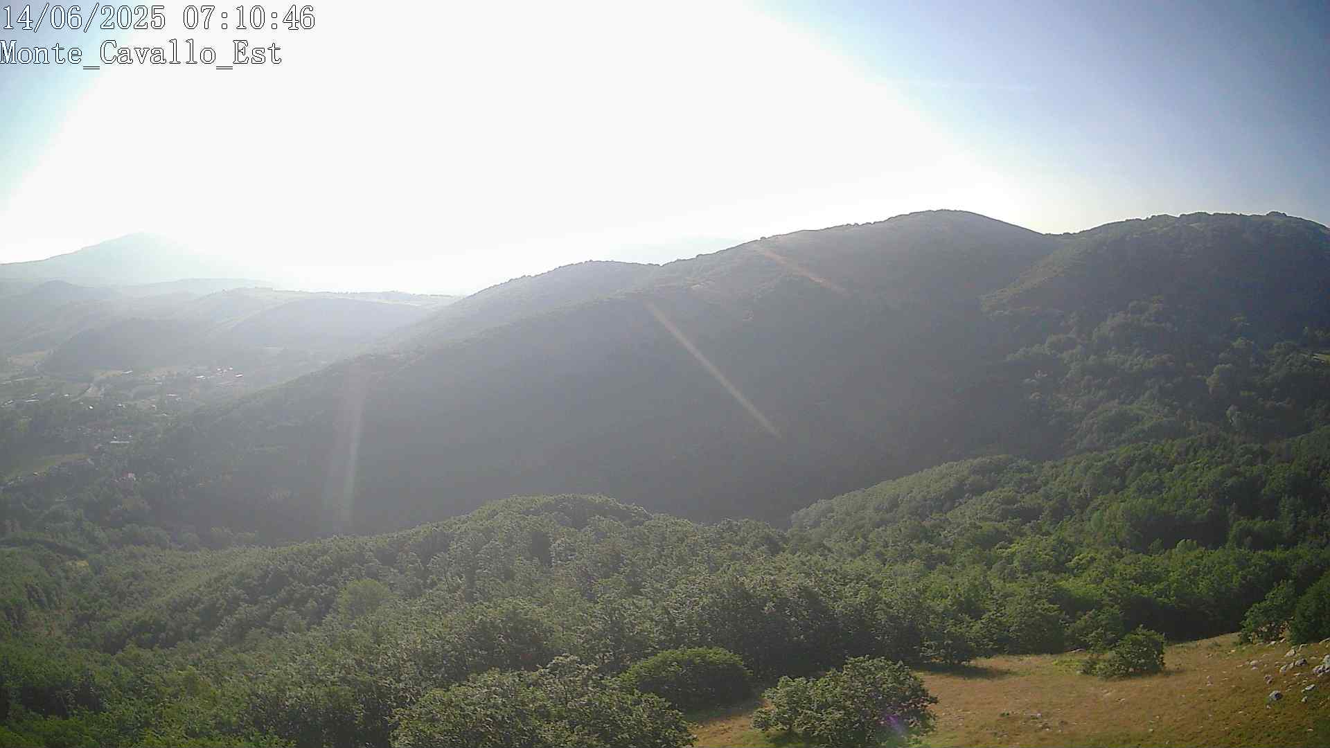 Immagine scattata il 14/06/2025 am30 07:10