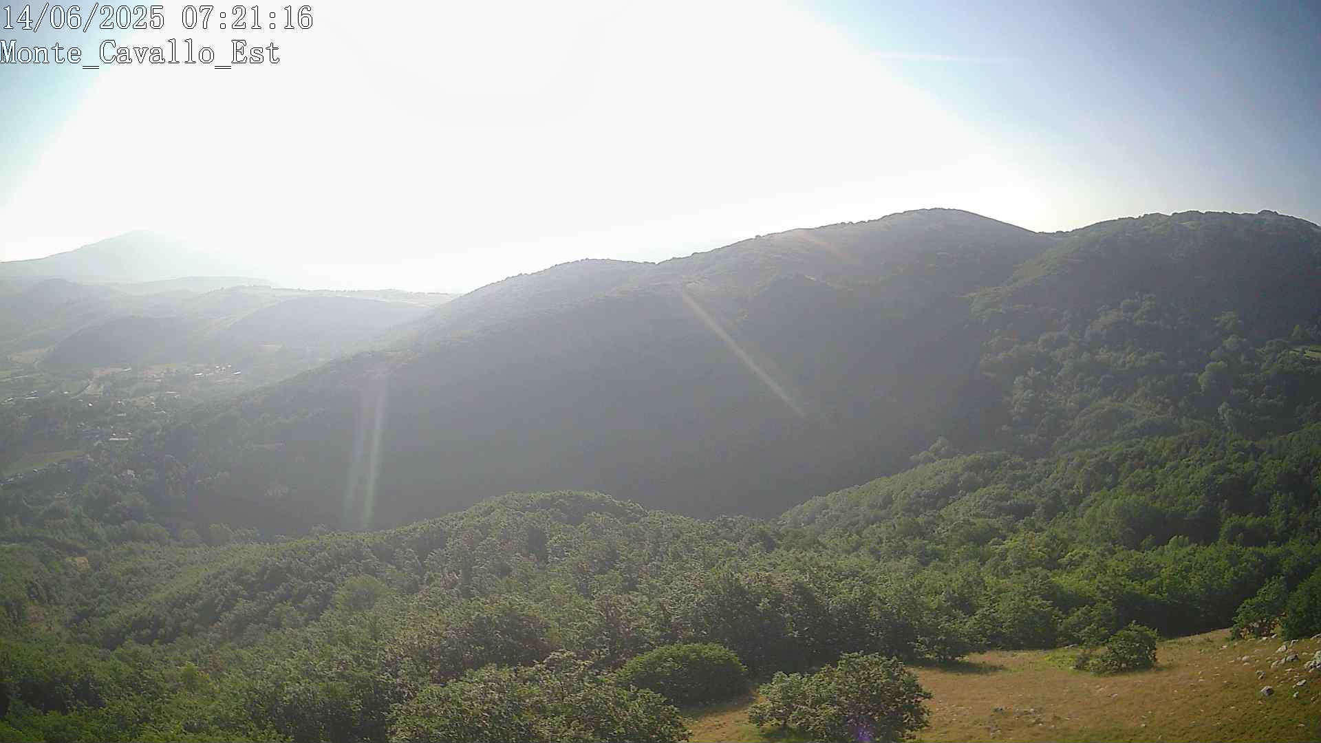 Immagine scattata il 14/06/2025 am30 07:21