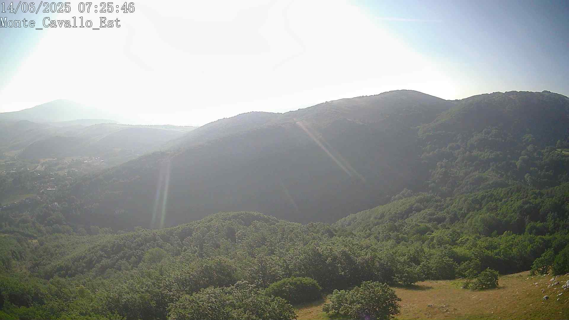 Immagine scattata il 14/06/2025 am30 07:25