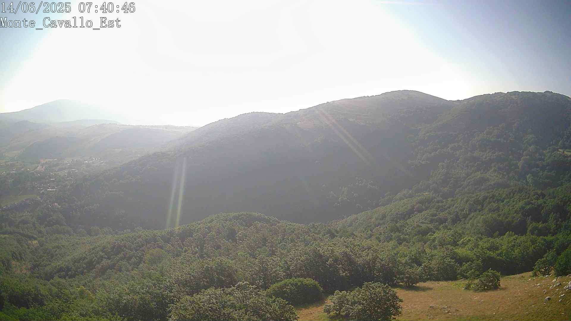 Immagine scattata il 14/06/2025 am30 07:40
