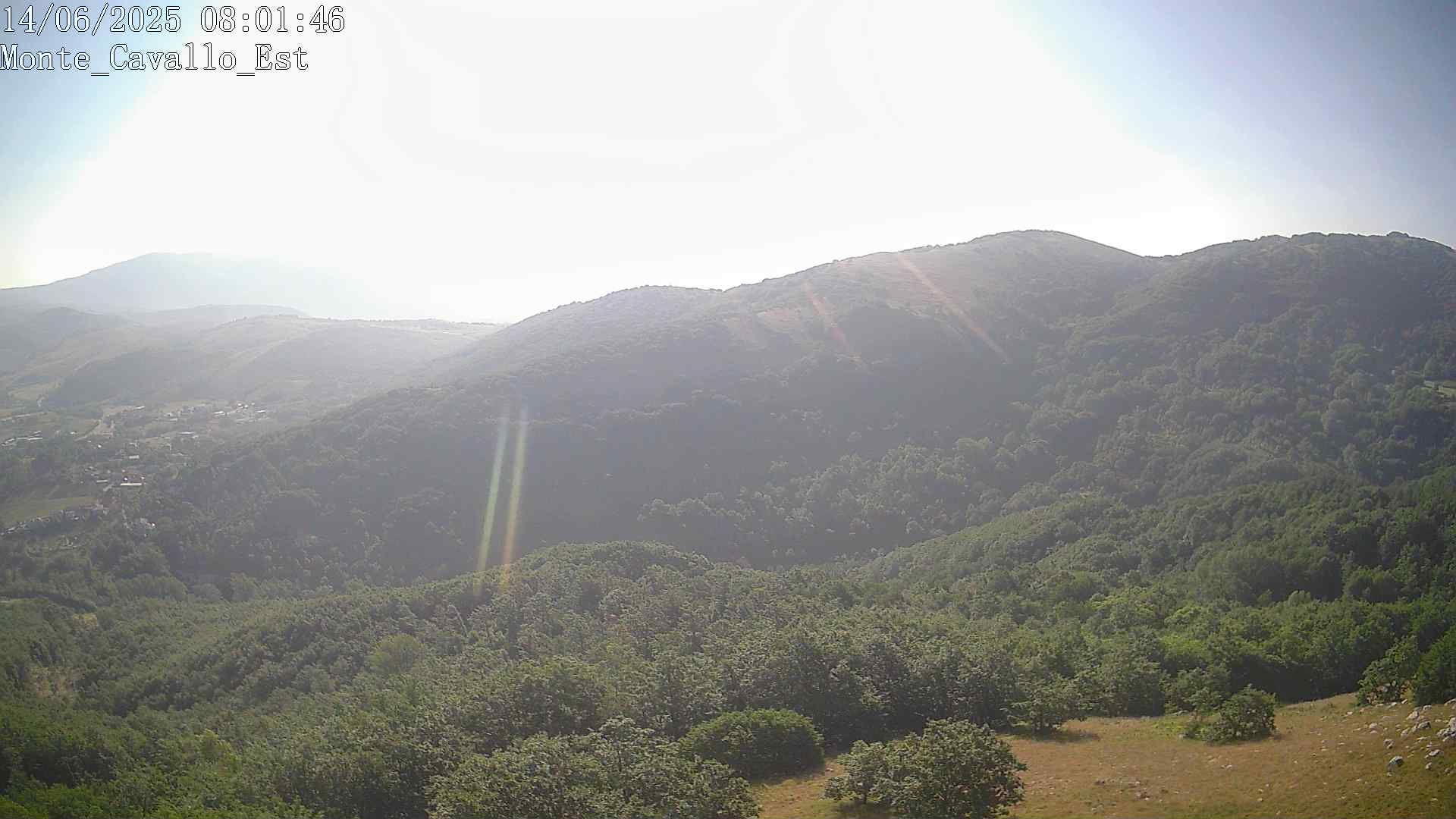 Immagine scattata il 14/06/2025 am30 08:01