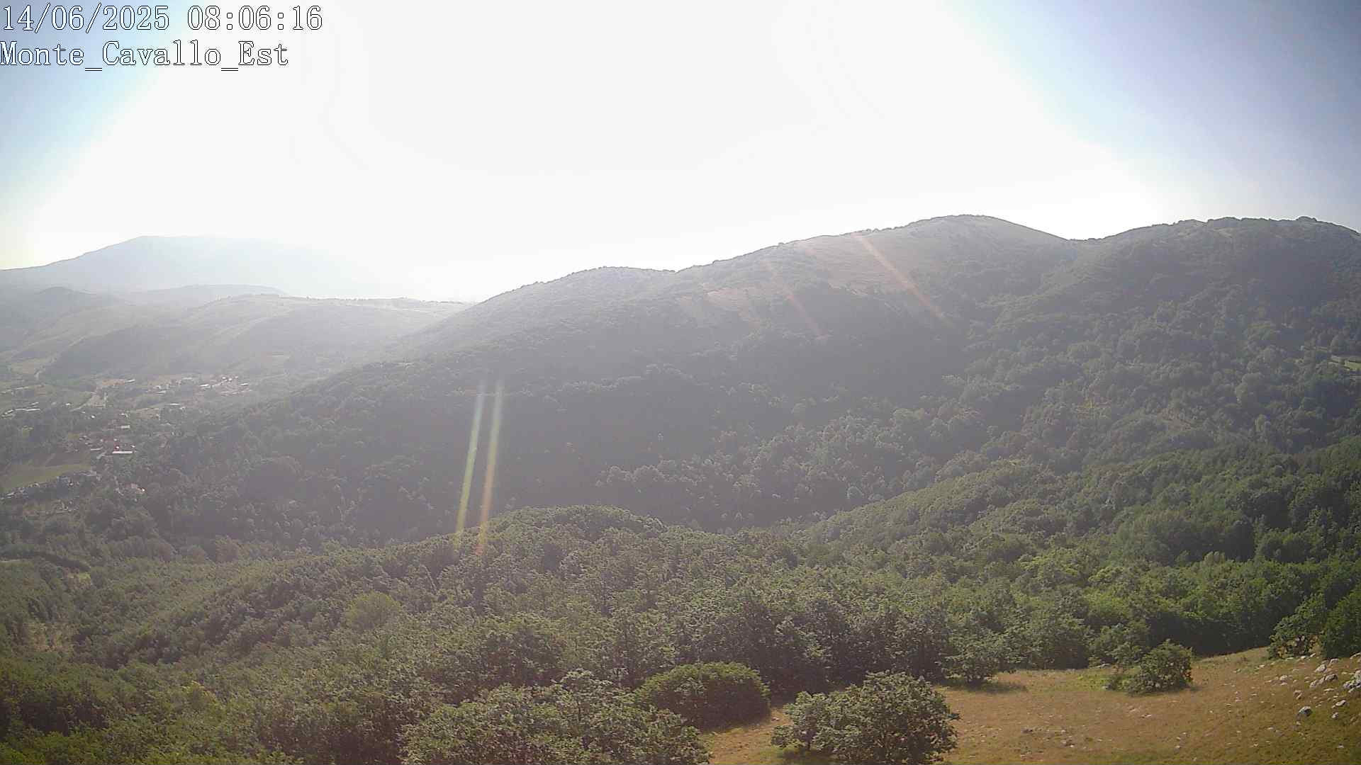 Immagine scattata il 14/06/2025 am30 08:06
