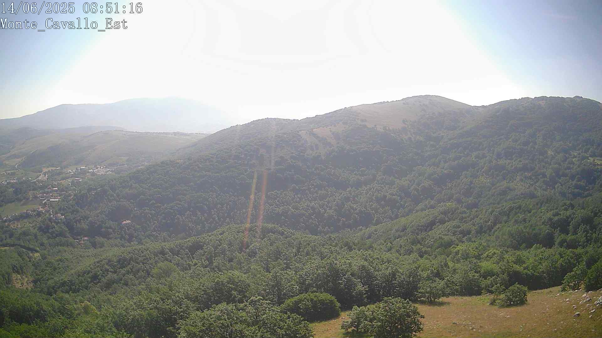 Immagine scattata il 14/06/2025 am30 08:51