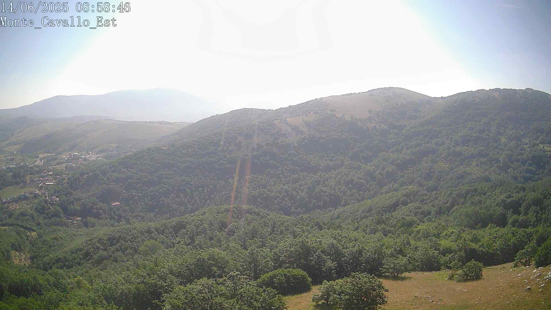 Immagine scattata il 14/06/2025 am30 08:58