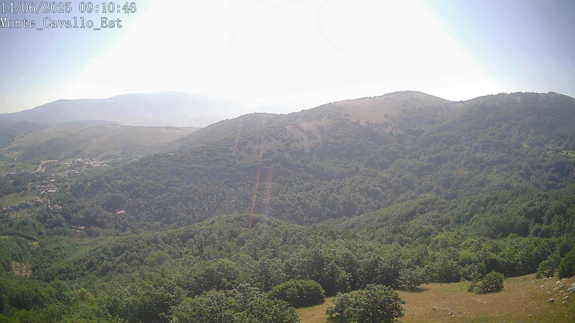 Immagine scattata il 14/06/2025 am30 09:10