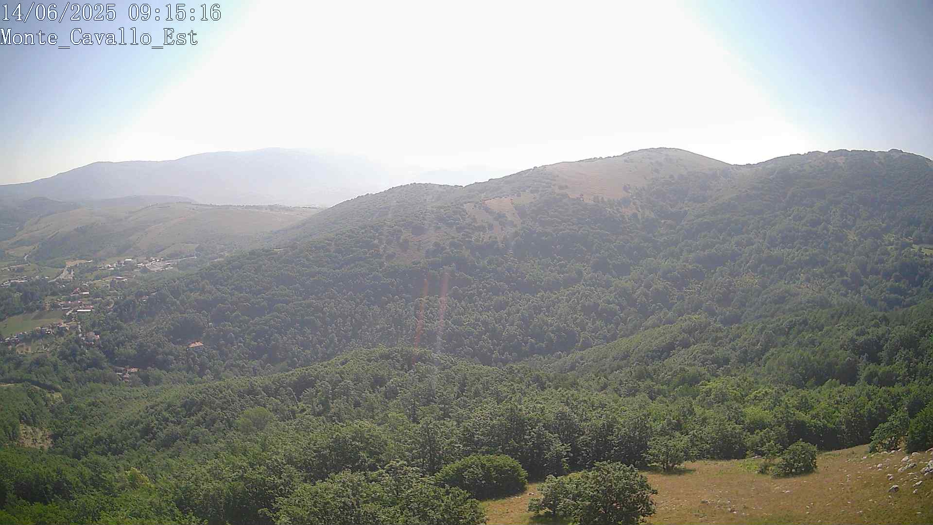 Immagine scattata il 14/06/2025 am30 09:15