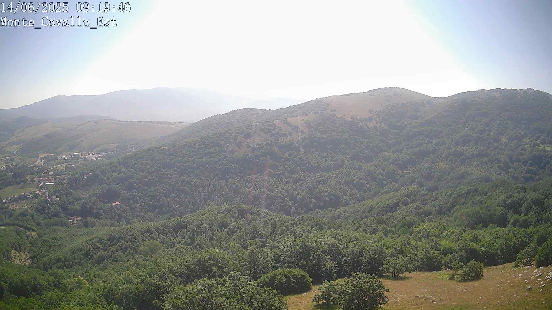 Immagine scattata il 14/06/2025 am30 09:19