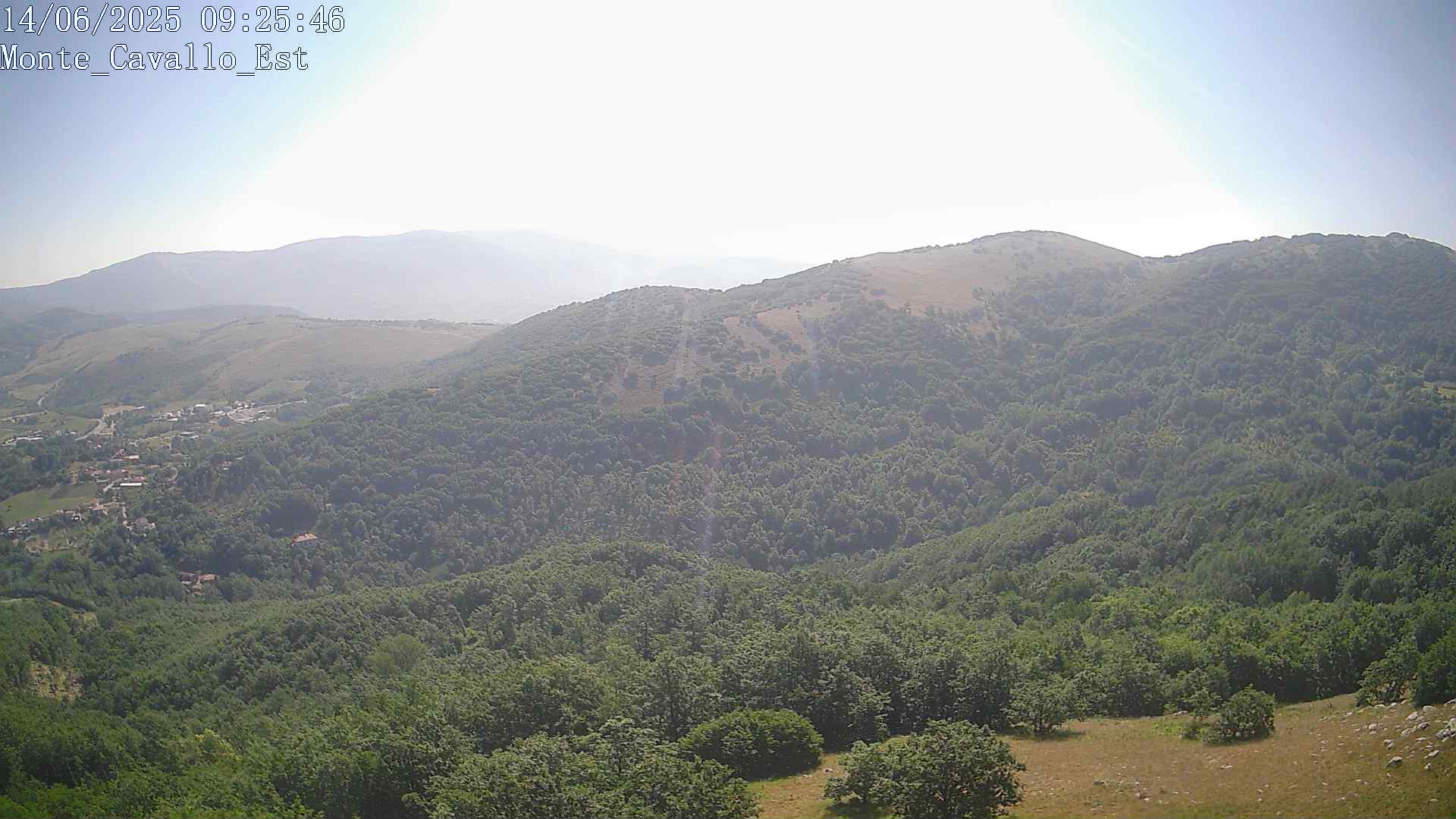 Immagine scattata il 14/06/2025 am30 09:25