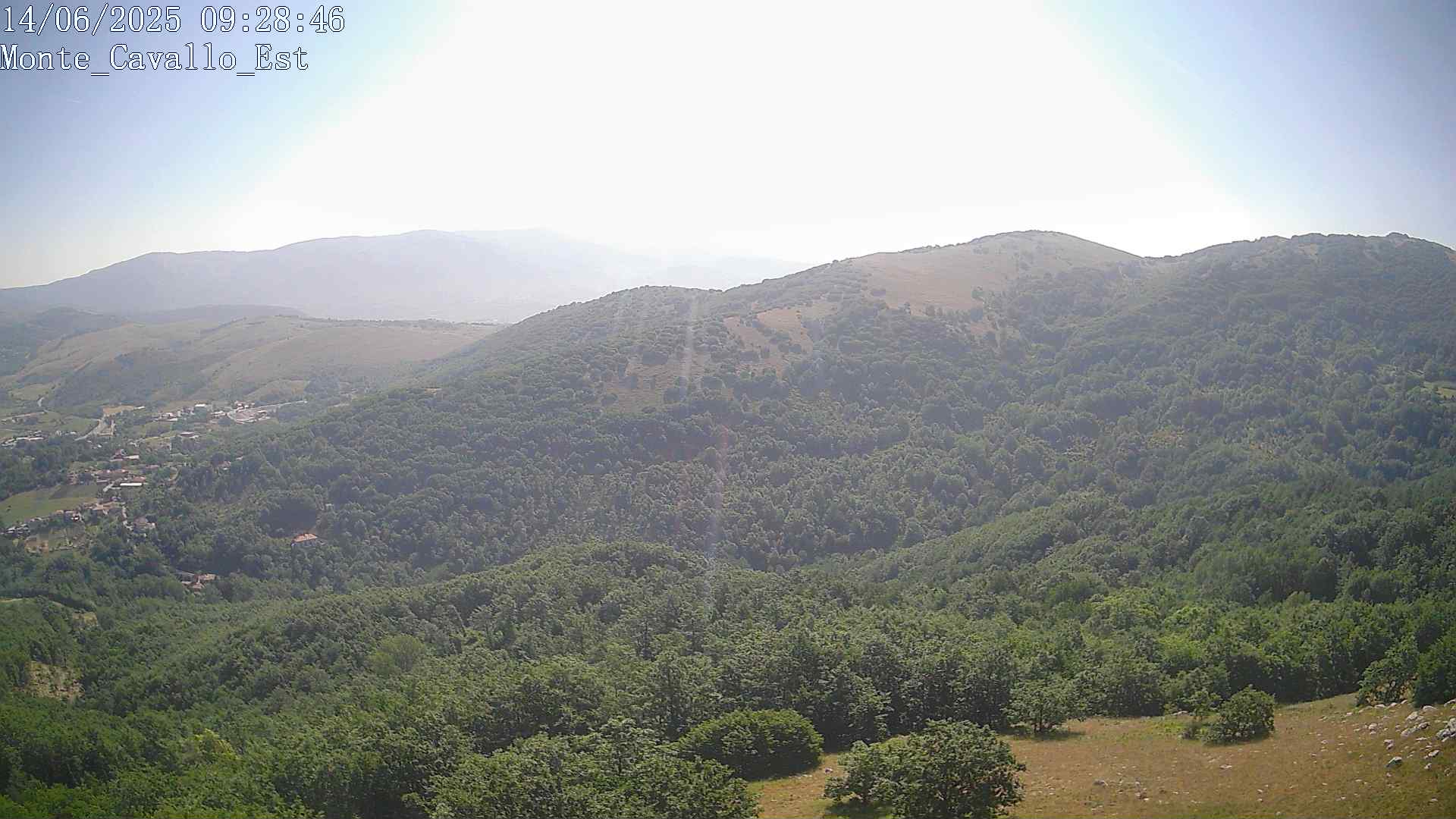 Immagine scattata il 14/06/2025 am30 09:28