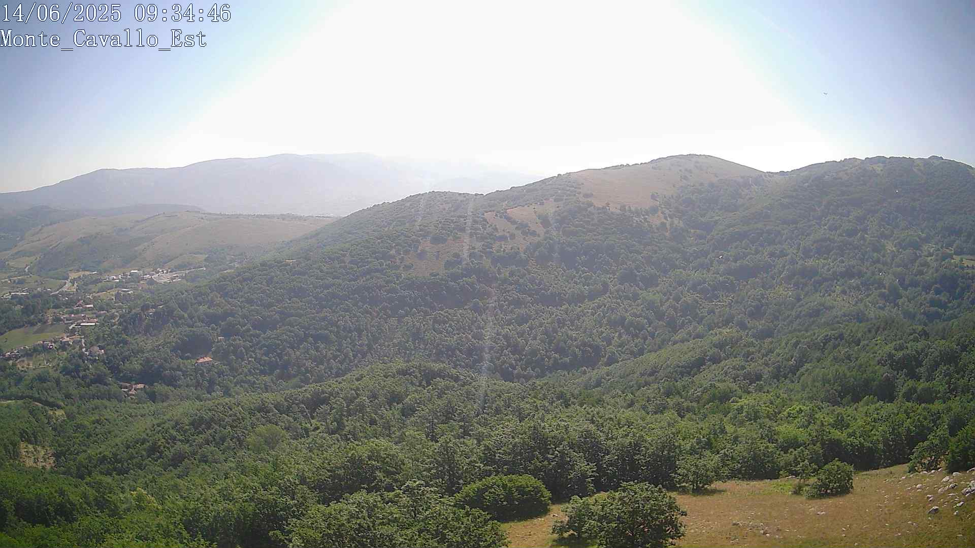 Immagine scattata il 14/06/2025 am30 09:34