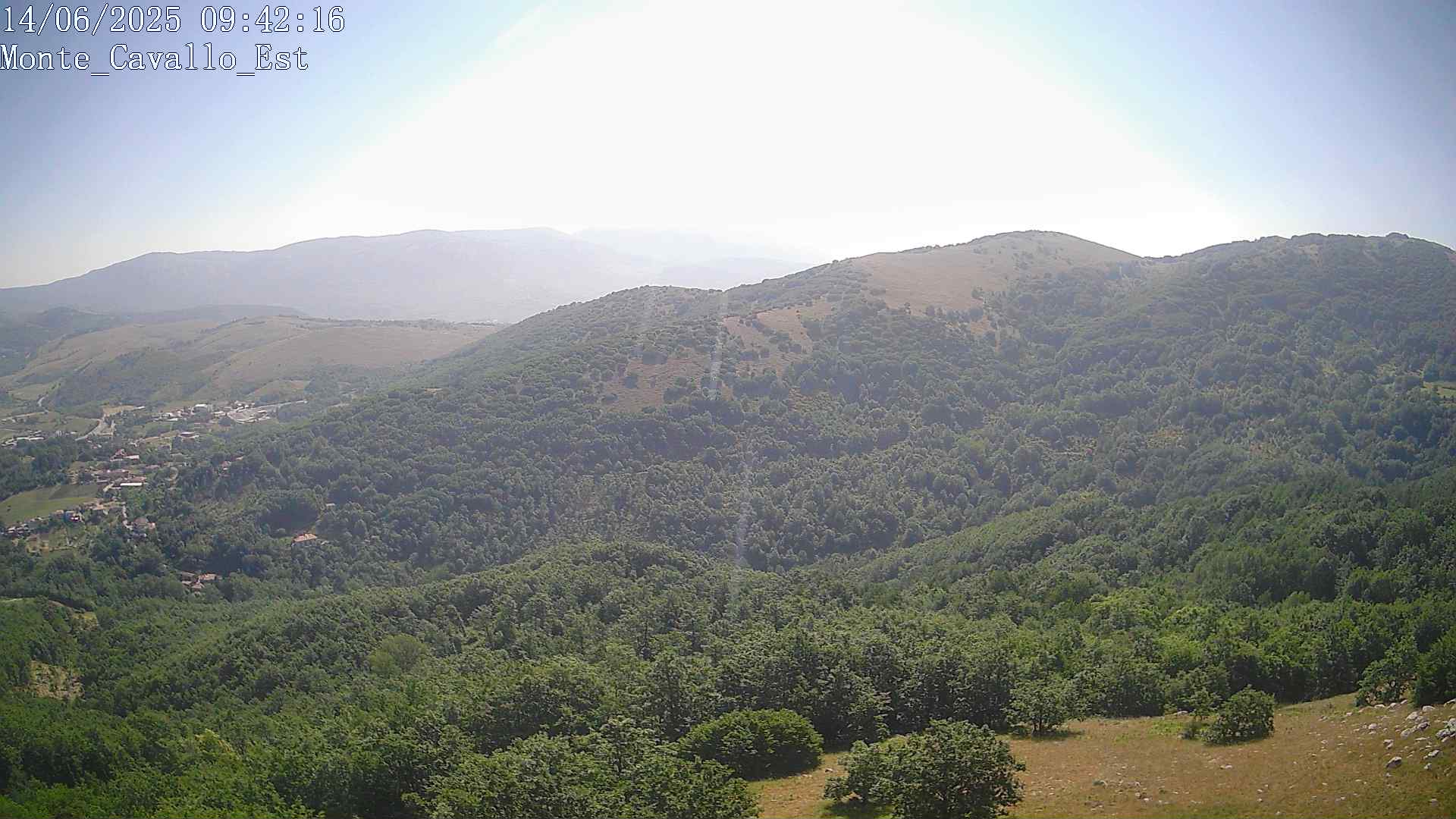 Immagine scattata il 14/06/2025 am30 09:42