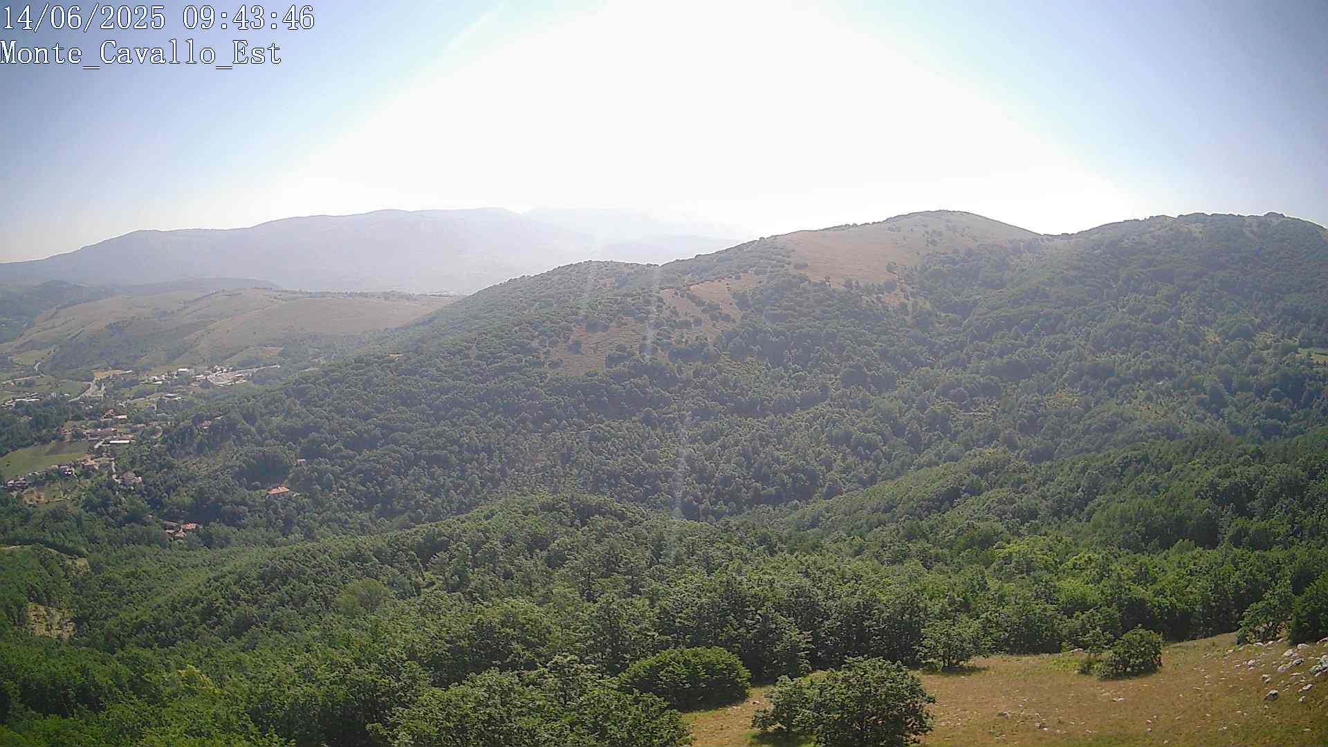 Immagine scattata il 14/06/2025 am30 09:43