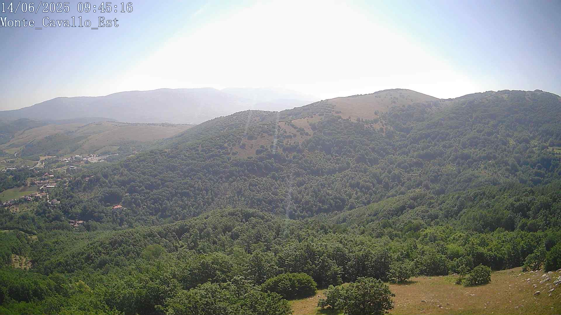 Immagine scattata il 14/06/2025 am30 09:45