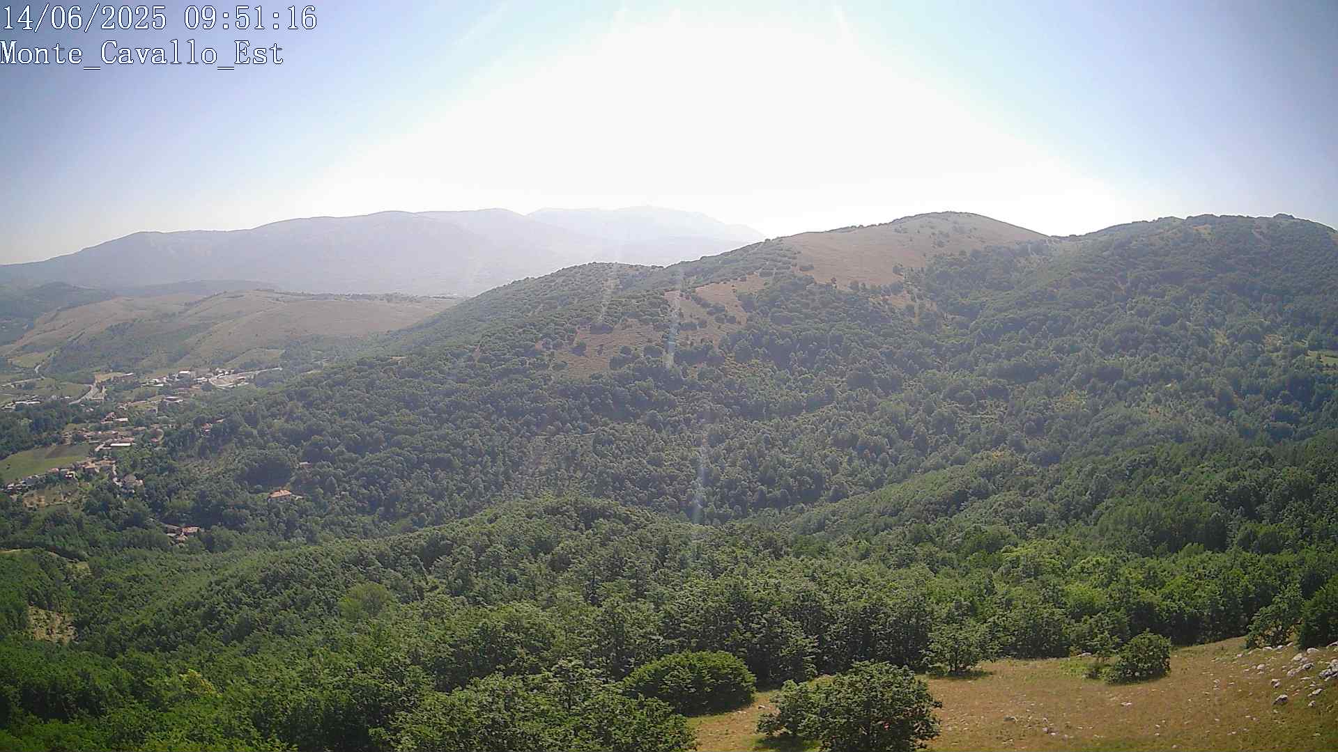 Immagine scattata il 14/06/2025 am30 09:51