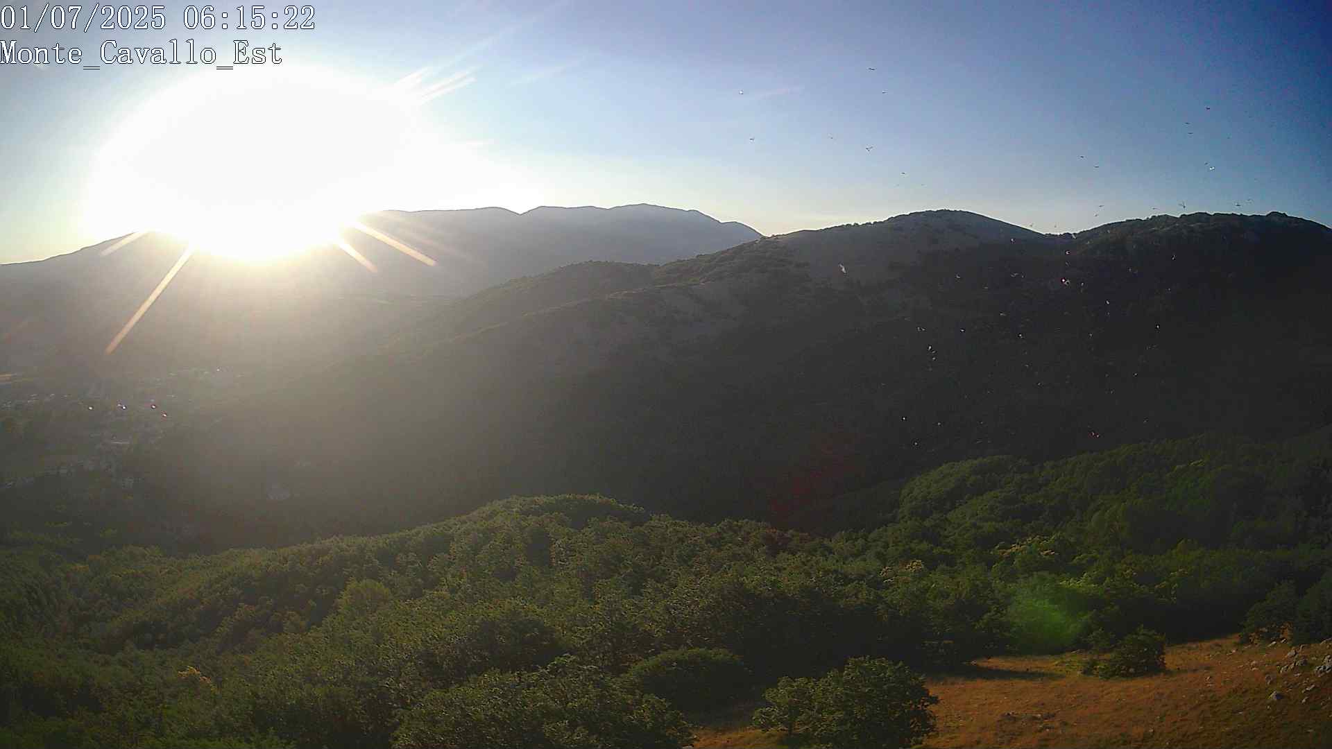 Immagine scattata il 01/07/2025 am31 06:15
