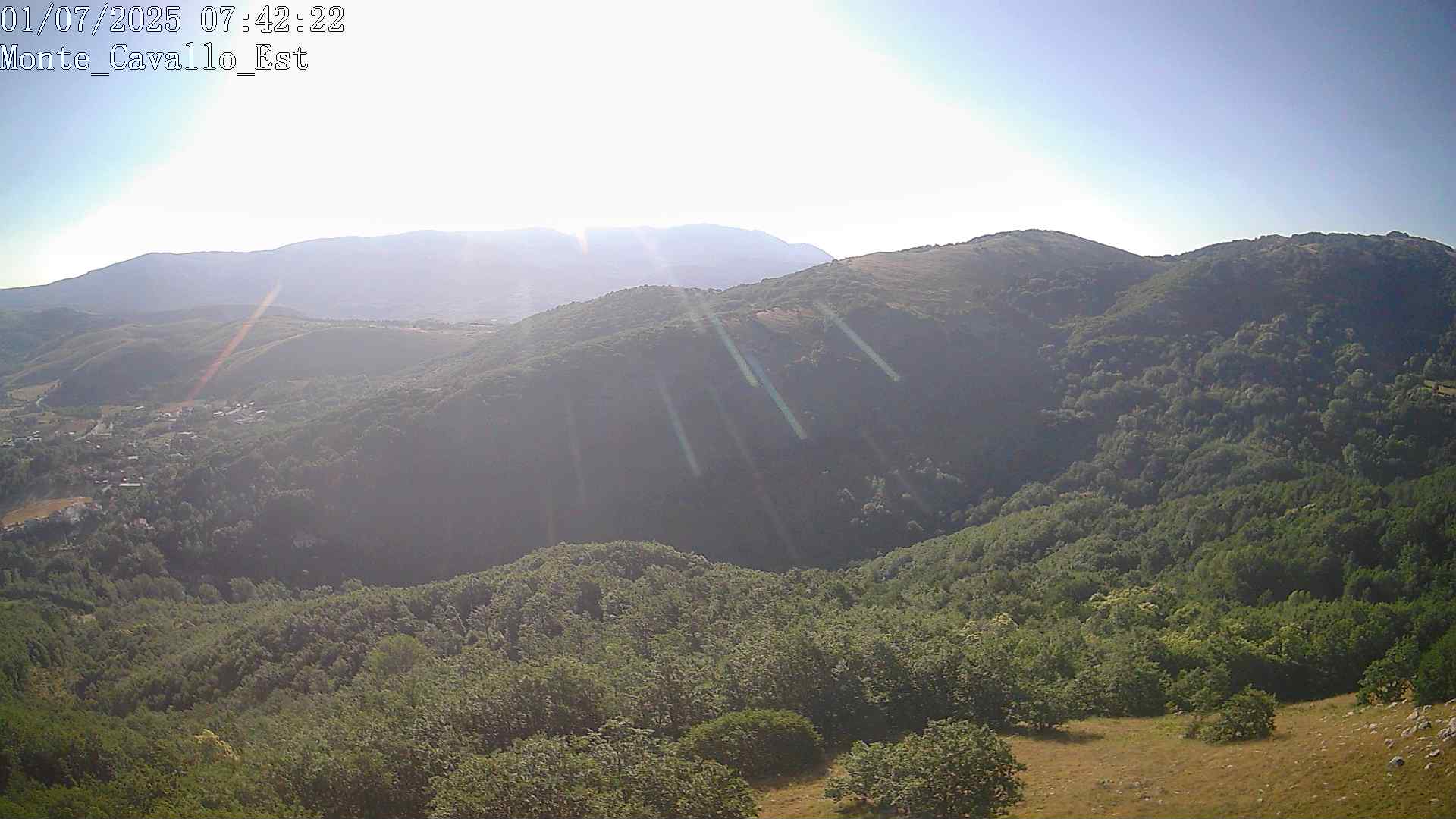 Immagine scattata il 01/07/2025 am31 07:42
