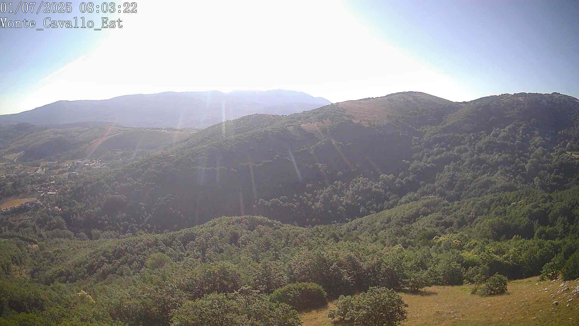 Immagine scattata il 01/07/2025 am31 08:03