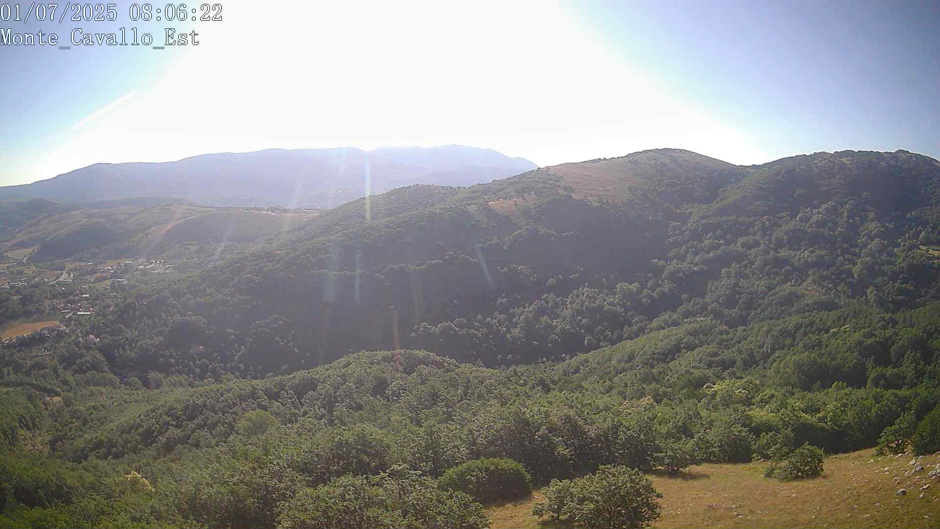 Immagine scattata il 01/07/2025 am31 08:06