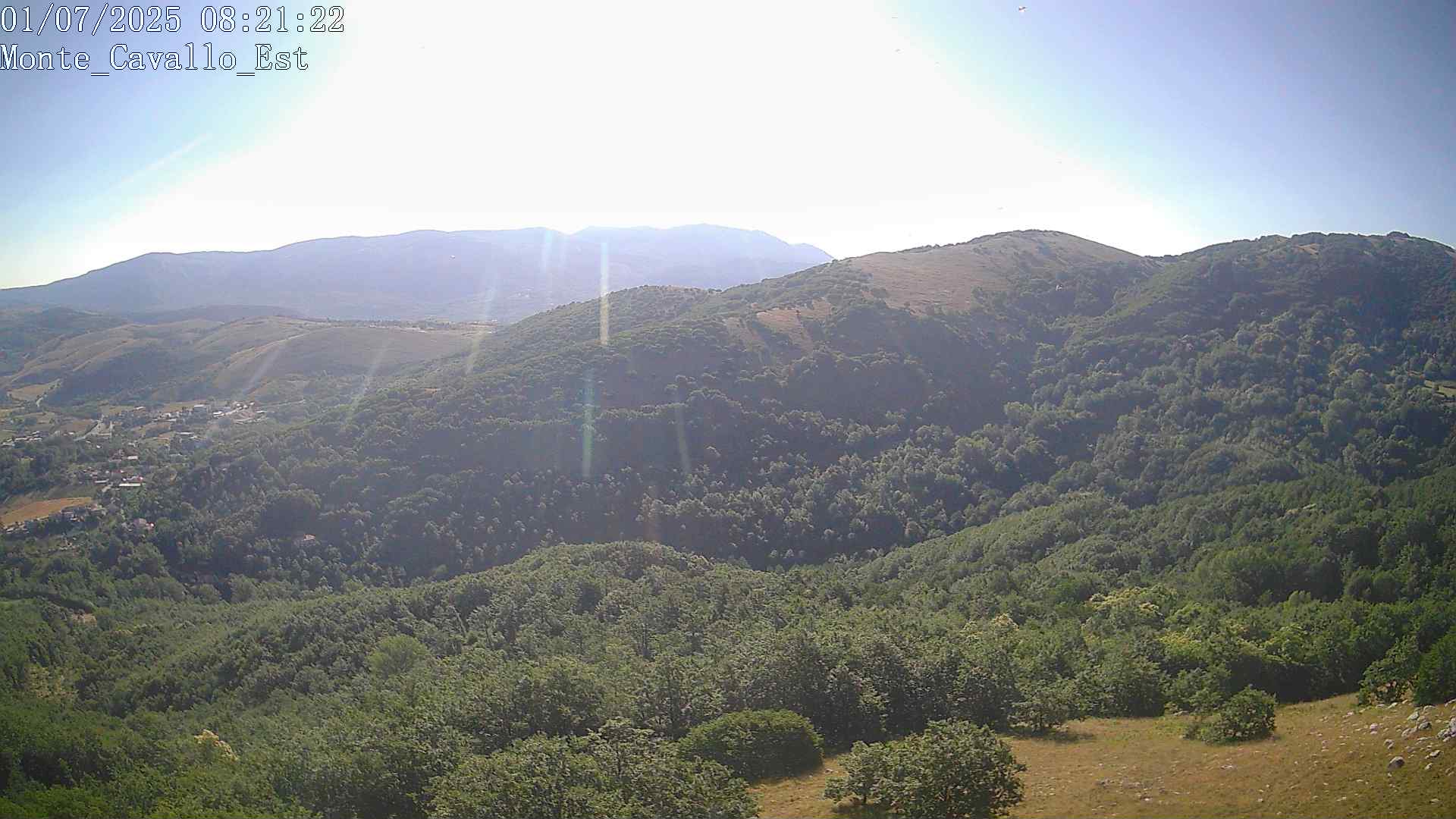 Immagine scattata il 01/07/2025 am31 08:21